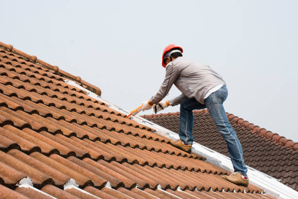Best Solar Panel Roofing Installation  in Discovery Harbour, HI