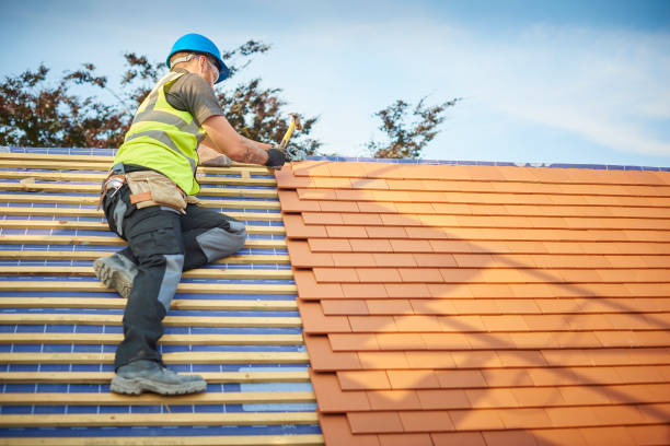Best Skylight Installation and Repair  in Discovery Harbour, HI